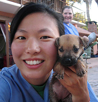 UVOLVAC P2.jpg full 600[1]